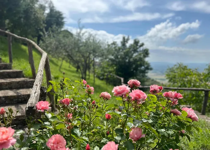 Casa Paradiso Cortona